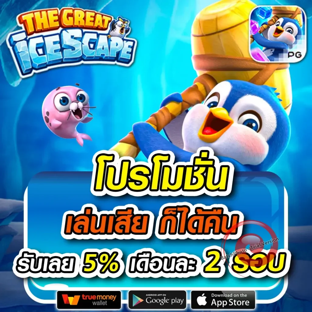 เล่นฟรี wym-9th